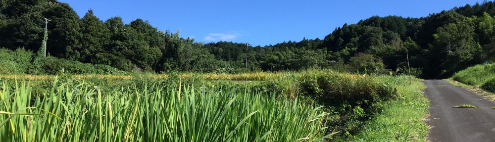 なごやか和の国うとう坂